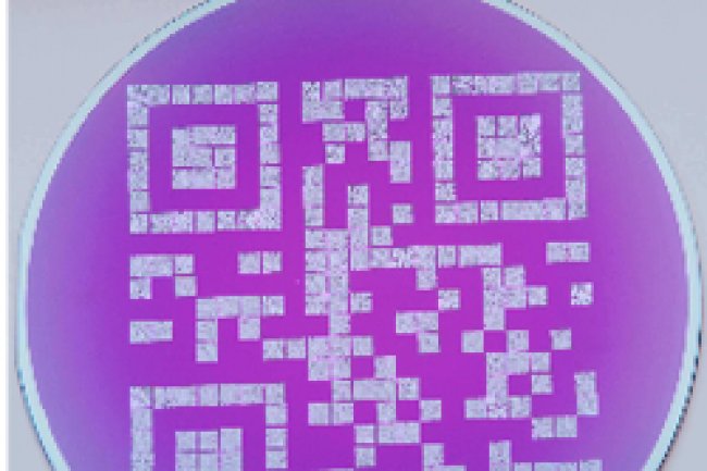 Le nano disque a été gravé en forme de QR Code. Crédit Photo: D.R