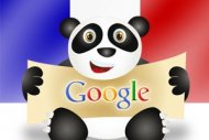 Google Panda r�vise le r�f�rencement des sites et provoque des remous