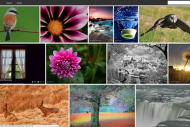 Flickr r�vis� donne 1 To de stockage aux internautes