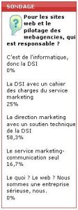 Sondage flash : le web en co-tutelle entre informatique et marketing