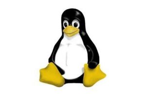 Linux a 19 ans
