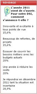 Sondage flash : les DSI peu optimistes pour 2011