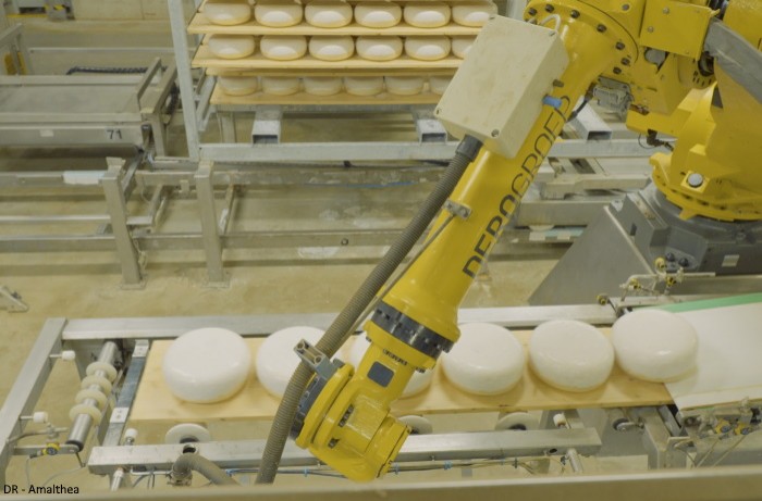 Amalthea pilote la production de ses fromages avec de l'IA