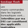 Sondage flash : dehors les clandestins !