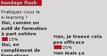 Sondage flash : le e-learning peine  convaincre