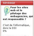 Sondage flash : le web en co-tutelle entre informatique et marketing