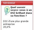 Sondage flash : les bons DSI bientt DG?