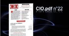 CIO.PDF 22: le DSI entre intelligence conomique et cration de valeur