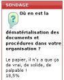 Sondage flash : les limites de la dmatrialisation