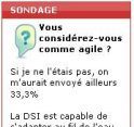 Sondage Flash : nos lecteurs se considrent bien comme agiles