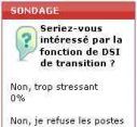 Sondage Flash: DSI de transition est une fonction attirante