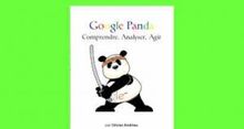 Google: savoir utiliser Panda pour bien rfrencer son site web