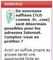 Sondage flash: les TLD d'entreprises suscitent au mieux l'indiffrence