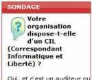 Sondage flash: les CIL encore en question