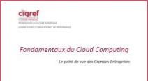 Le cloud vu par les grandes entreprises