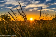 Une transaction internationale de produits agricoles traite en blockchain