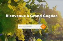 Grand Cognac : l'agglomration paralyse par un cryptoware