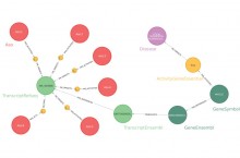 Servier acclre la dcouverte de molcules thrapeutiques grce aux graphes