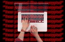 Formation  la cyber : un programme bien trop lger