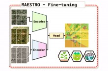 L'IGN explore la for�t fran�aise avec son propre mod�le de fondation IA