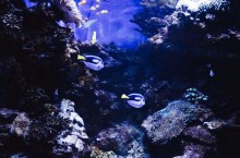 Un jumeau num�rique plonge dans les fonds du Port de Barcelone