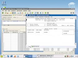 Gupta Technologies propose sa base sous Windows et Linux - SQLBase 9 - Gupta Technologies