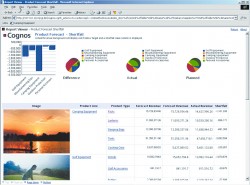 Des rapports Cognos intgrs avec SAP - Reportnet - Cognos