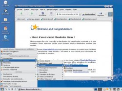 Mandrakelinux 10 runit toujours plus d'applications - Mandrakelinux 10.0 Official - Mandrakesoft