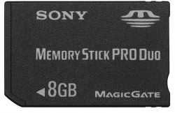 La mmoire de plusieurs lphants - Memory Stick Pro Duo 8 Go - Sony