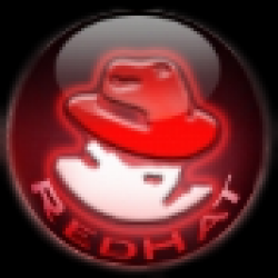 Red Hat Enterprise Linux 5.3 mieux armé pour les grands projets de virtualisation - Red Hat Enterprise Linux 5.3 - Red Hat