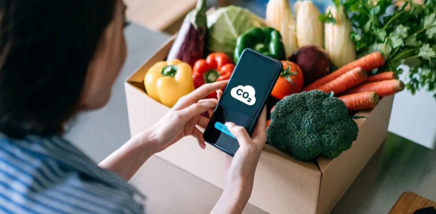 La durabilit comme KPI stratgique : le rle cl de l'IT