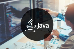 Insight accompagne IBM, dans son nouveau r�le de fournisseur de support Java