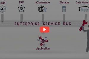 Plateforme d'int�gration d'API : quels int�r�ts