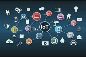 L'avenir florissant d'un stockage cam�l�on