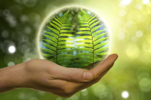 Pilotage de l'empreinte carbone de l'IT