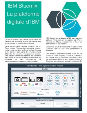 IBM Bluemix, La plateforme digitale d'IBM