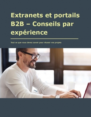 Extranets et portails B2B - Conseils par exprience