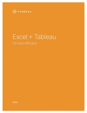 Associer Excel  une plateforme analytique pour exploiter vos donnes