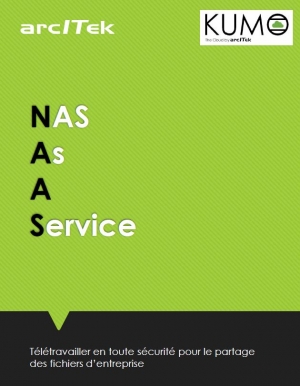 Tltravail et partage de fichiers : pourquoi opter pour le NAS As A Service ?