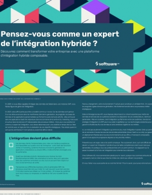 Pensez-vous comme un expert de l'intgration hybride ?