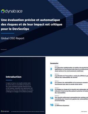 Rapport : l'importance de l'�valuation pr�cise et automatique des risques et de leurs impacts pour les DevSecOps
