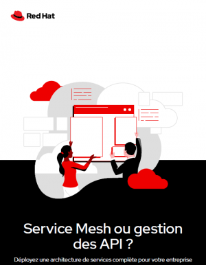 Structurer et dployer les solutions de gestion des API et les Services Mesh