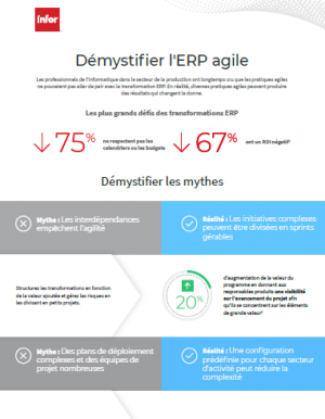 Infographie : Dmystifier l'ERP agile