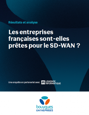 Enqute : les entreprises franaises sont-elles prtes pour le SD-WAN ?
