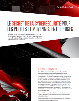 eBook : Les enjeux de la cyberscurit pour les petites et moyennes entreprises