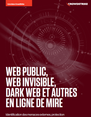 Livre blanc : Web public, web invisible, dark web et scurit