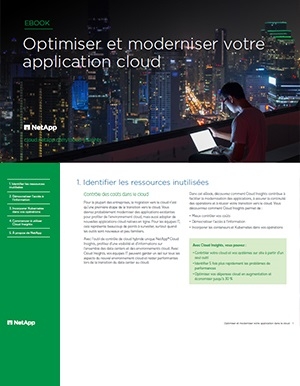 Ebook�: Comment r�ussir la modernisation de ses applications et sa migration vers le cloud�?