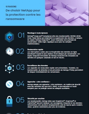 Infographie : 10 crit�res de choix pour votre solution de protection face aux ransomwares