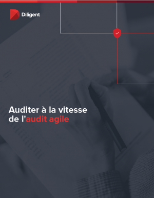 Comprendre les enjeux de l'audit agile