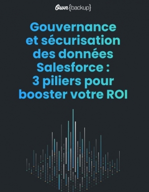 Gouvernance et scurisation des donnes Salesforce: 3 piliers pour booster votre ROI